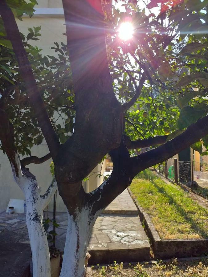 Villa Rosa Garden House Corfu  Екстериор снимка