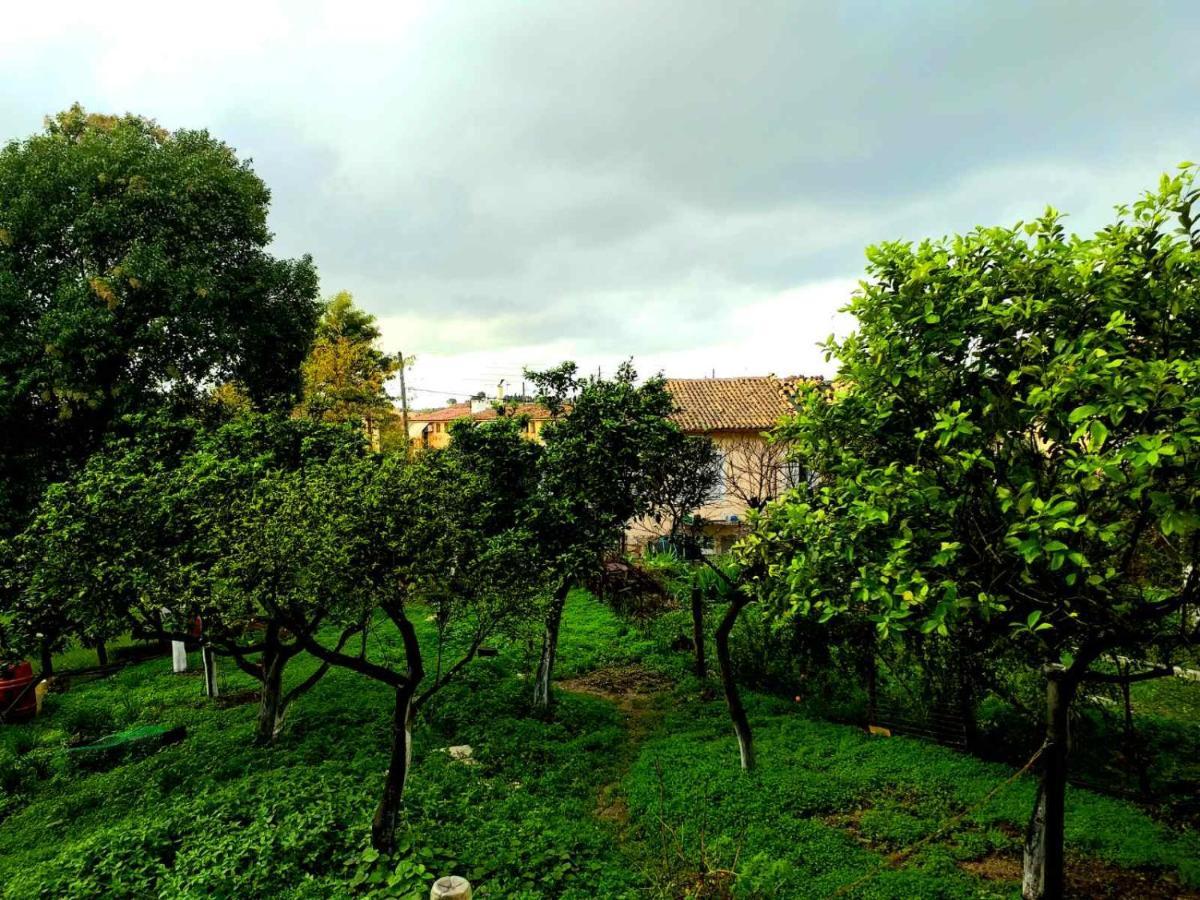 Villa Rosa Garden House Corfu  Екстериор снимка